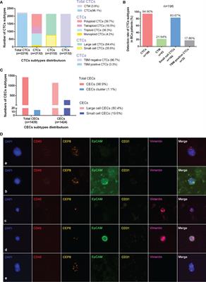 Clinical Application of Circulating Tumor Cells and Circulating Endothelial Cells in Predicting Bladder Cancer Prognosis and Neoadjuvant Chemosensitivity